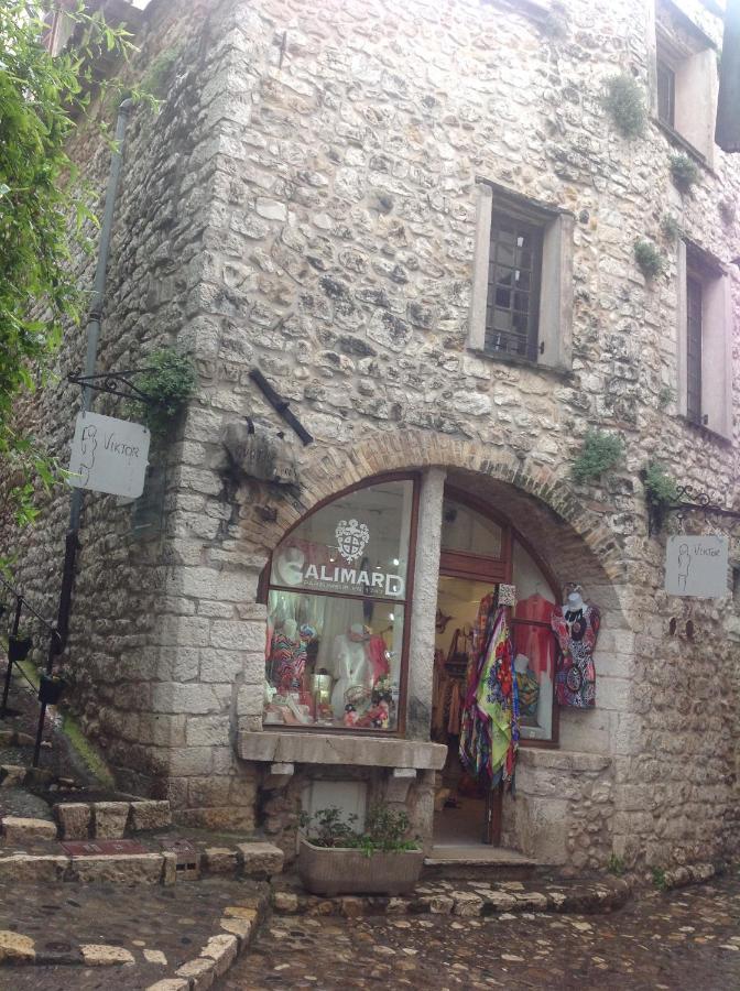 Maison Pittorresque St Paul De Vence 圣保罗-德旺斯 外观 照片